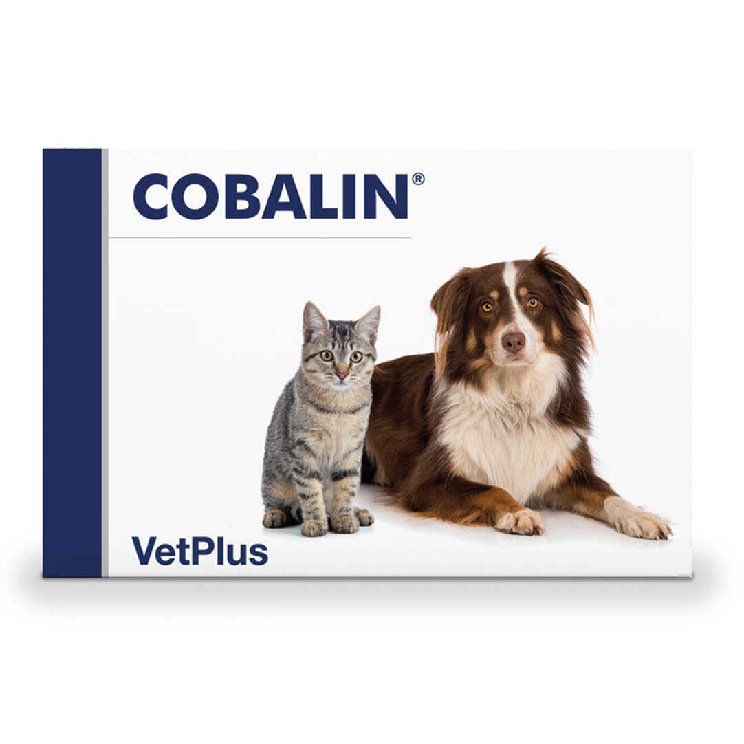 Vetplus Cobalin Vitamine B12 B9 Hond Kat 60 capsules