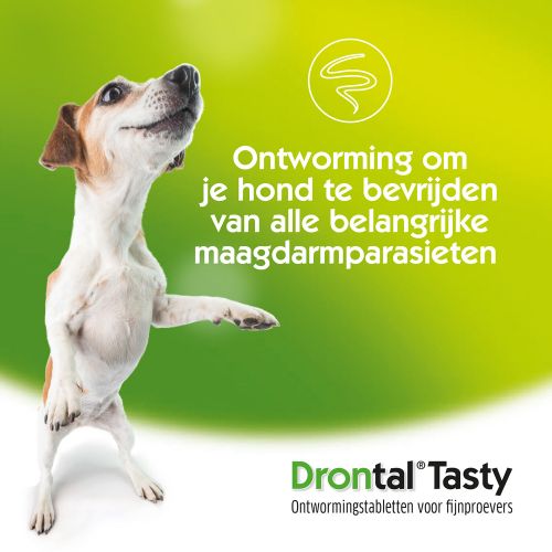 Drontal Dog Tasty Flavour Ontwormingstablet Hond