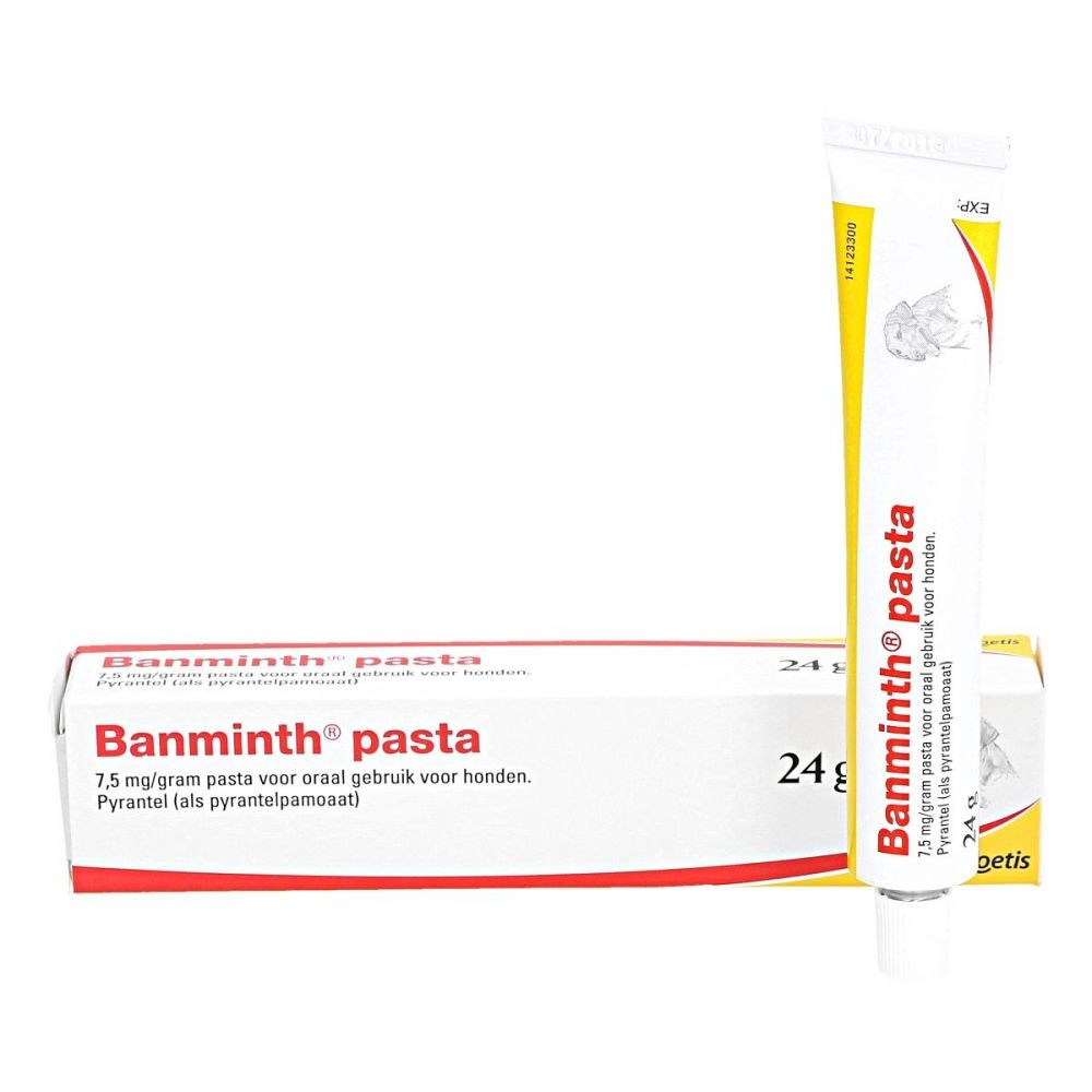 Banminth Ontwormpasta Hond tube 24 gram