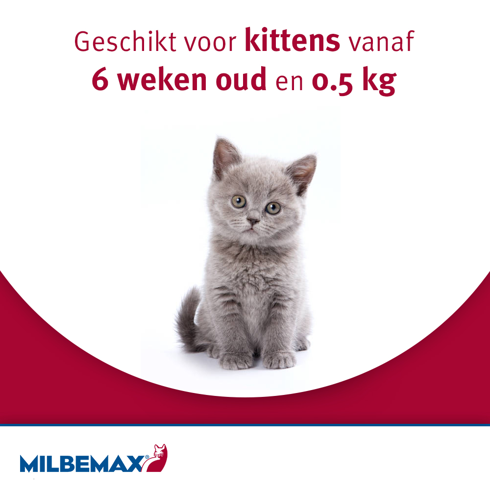 Milbemax Grote Kat Ontwormingstabletten