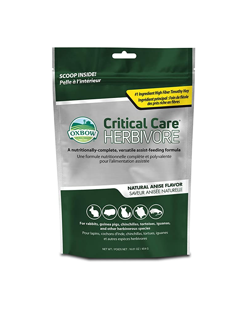 Critical Care