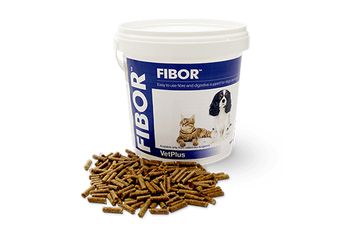 Vetplus Fibor Spijsvertering Hond Kat 500 gram