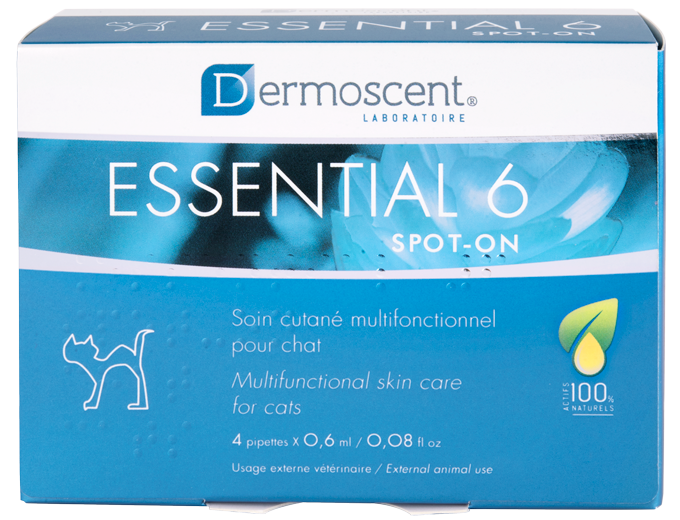 Dermoscent Essential 6 Kat 4 pipetten