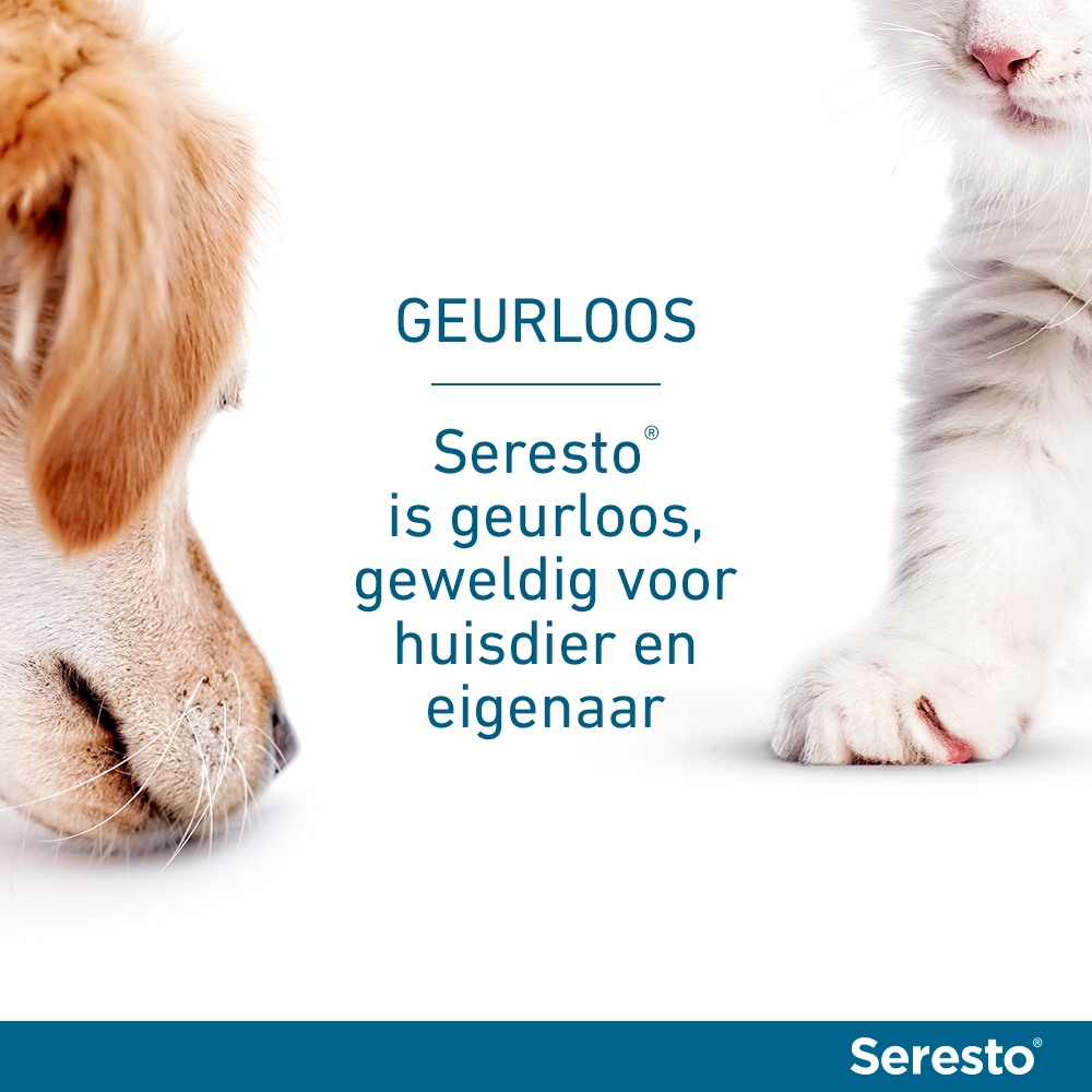 Seresto Halsband Vlooien en Teken Hond