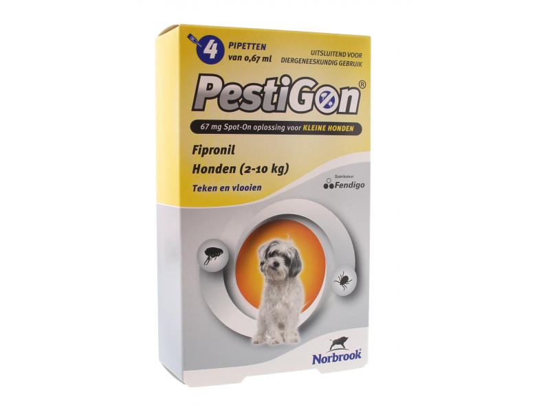 Pestigon Hond