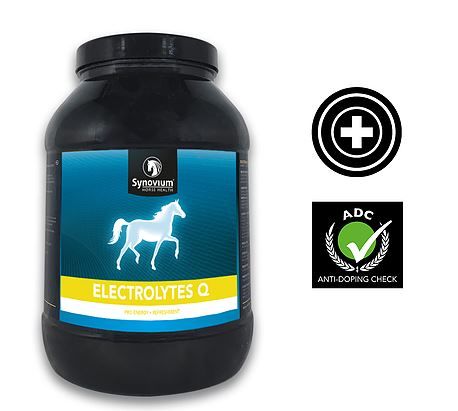 Synovium Electrolytes Q Paard 2.5 kg