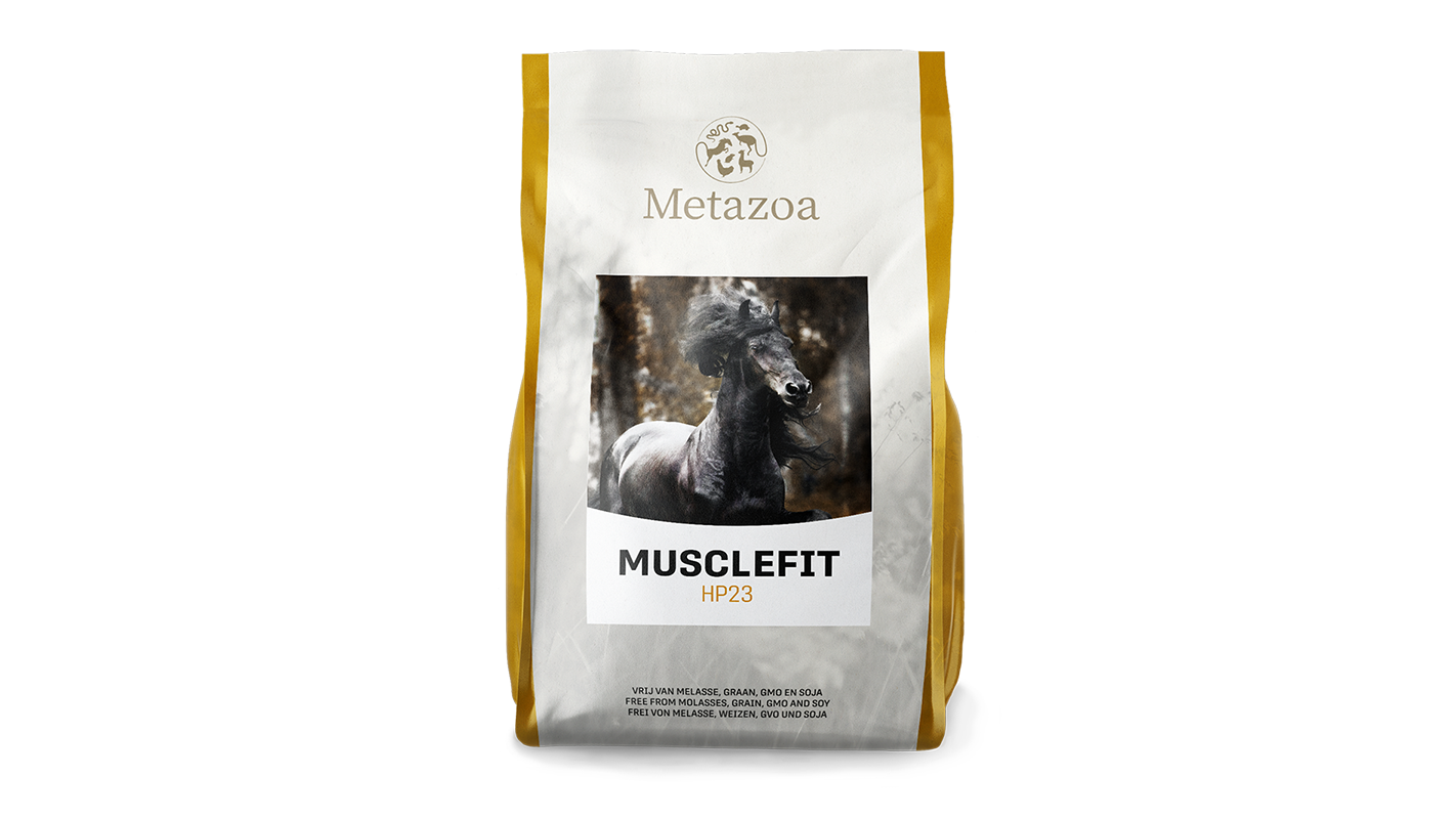 Metazoa MuscleFit HP23