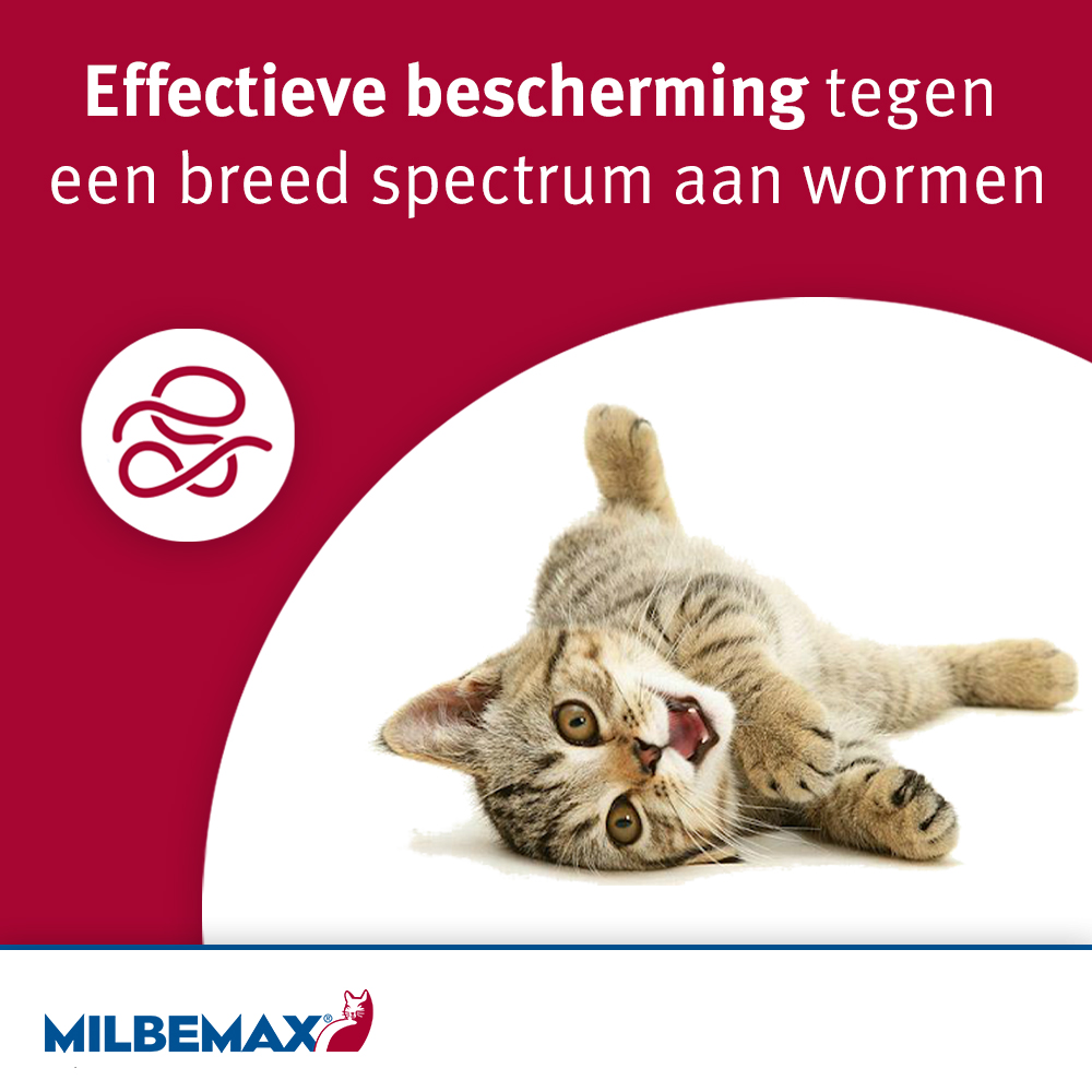 Milbemax Kleine Kat Ontwormingstabletten