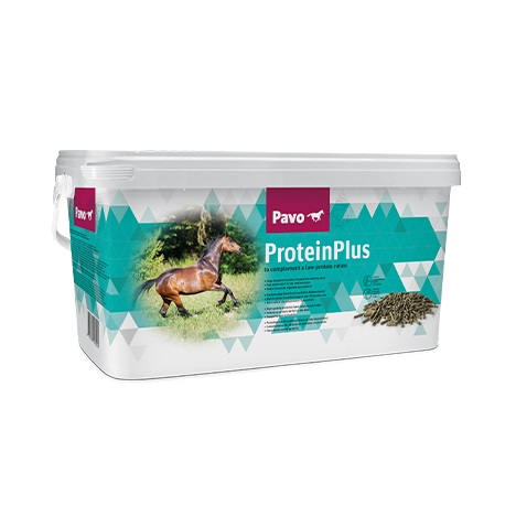 Pavo ProteinPlus Eiwit Paard 7 kg